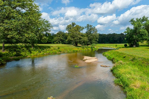 Descubra como a prática de uma alimentação consciente pode transformar sua gestão de peso!